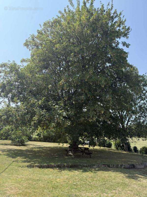Maison à DAME-MARIE