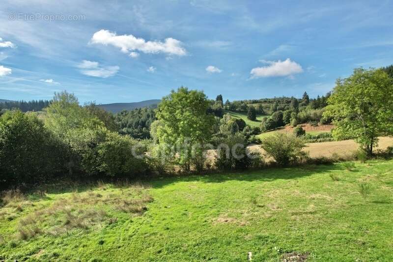 Maison à NOIRETABLE