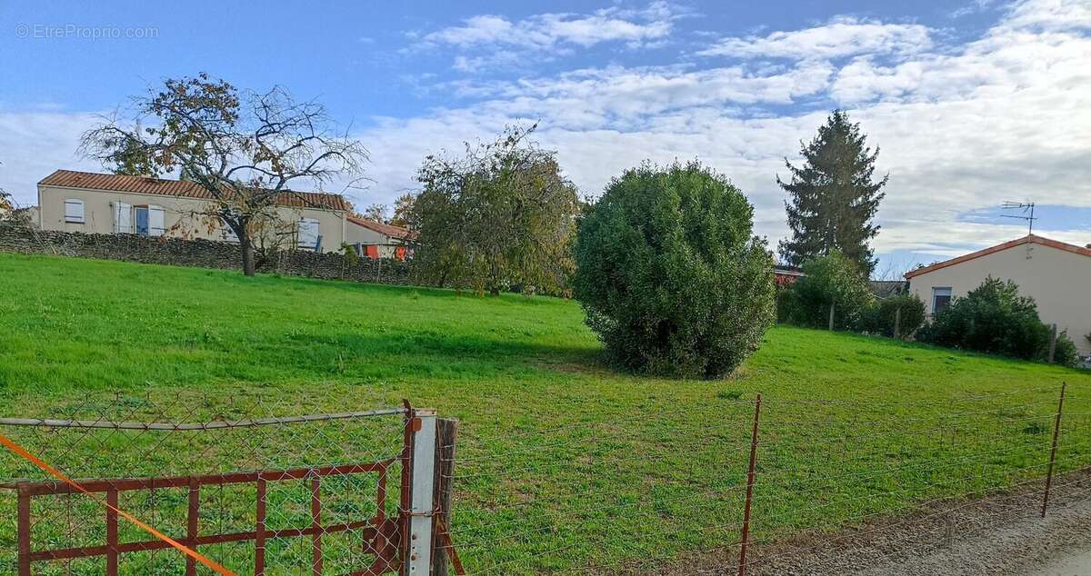 Terrain à CHEF-BOUTONNE