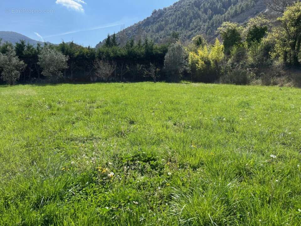 Terrain à CONDORCET