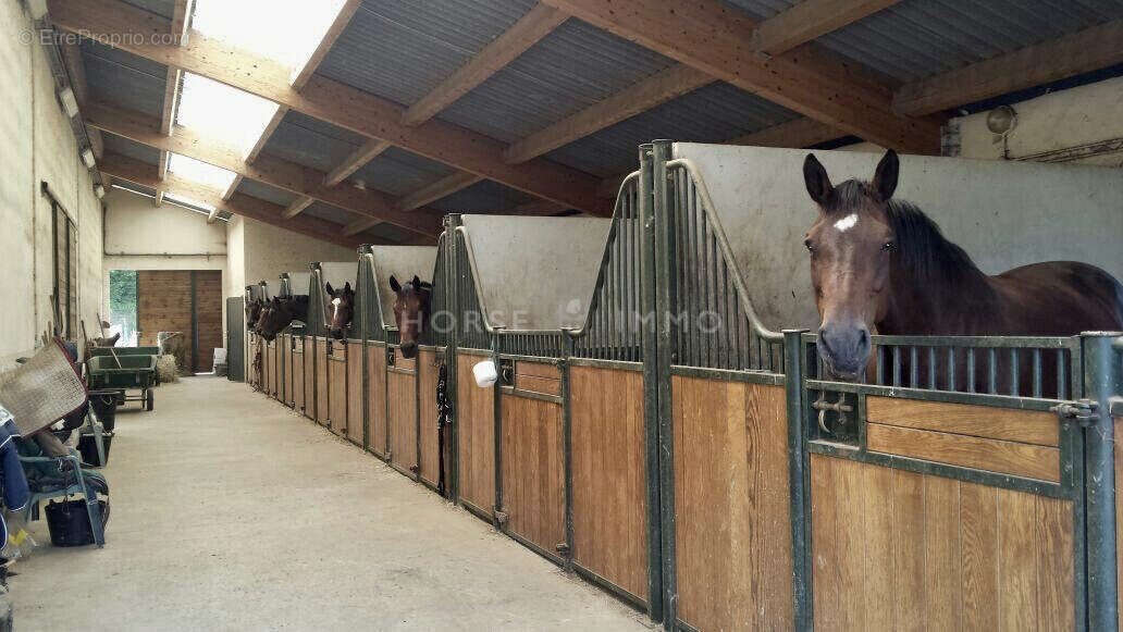 Maison à CONTAMINE-SUR-ARVE