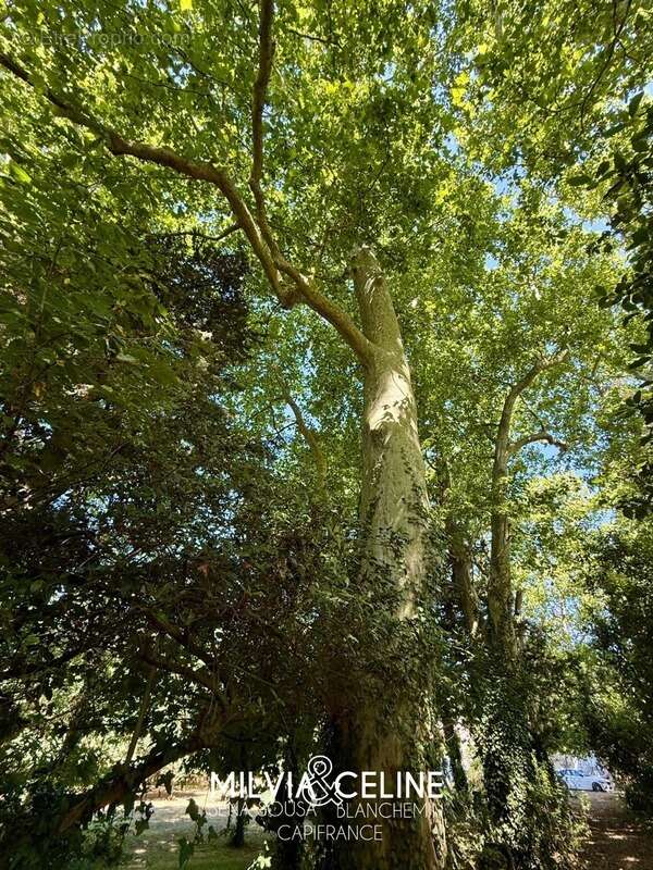 Maison à CARCASSONNE