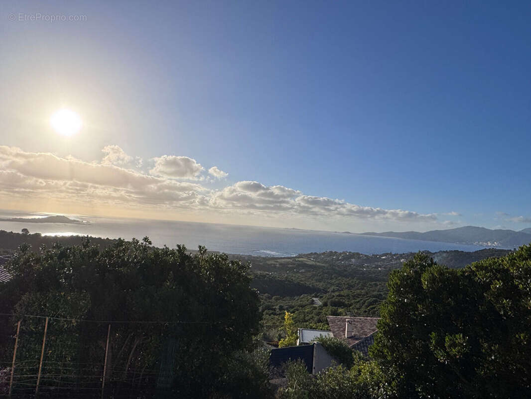 Maison à ALBITRECCIA