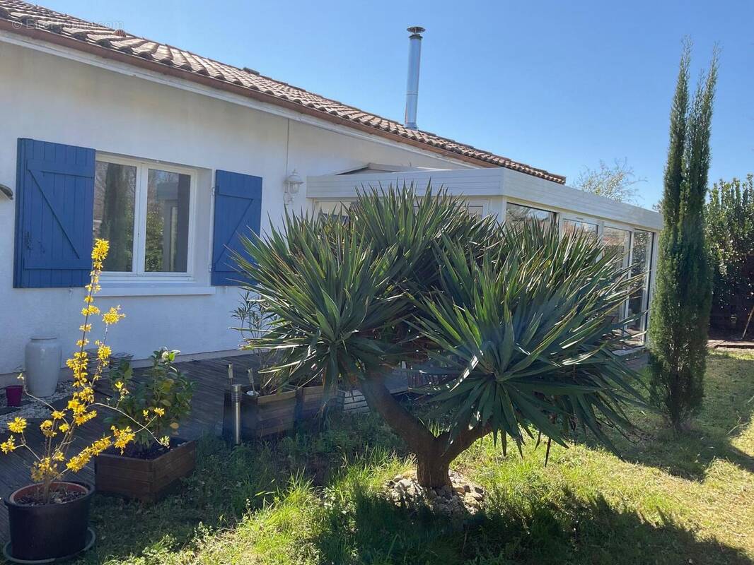 Photo 1 - Maison à BISCARROSSE