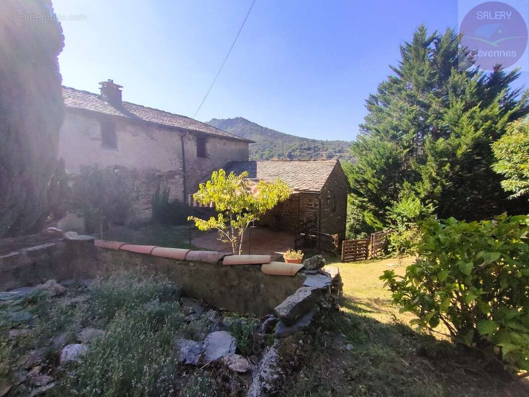 Mas cévenol - photo 13