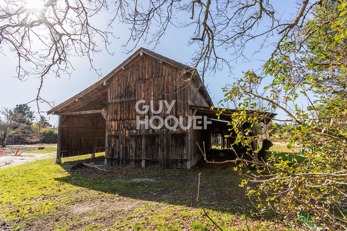 Maison à BISCARROSSE