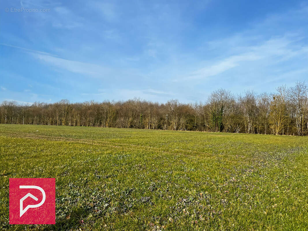 Terrain à BERNAY