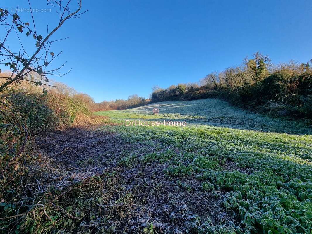 Terrain à MONPAZIER