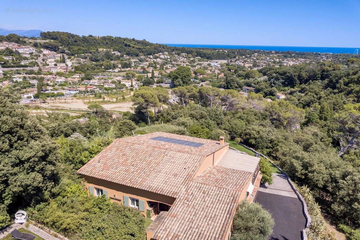 Maison 300 m² à Biot  - photo 5