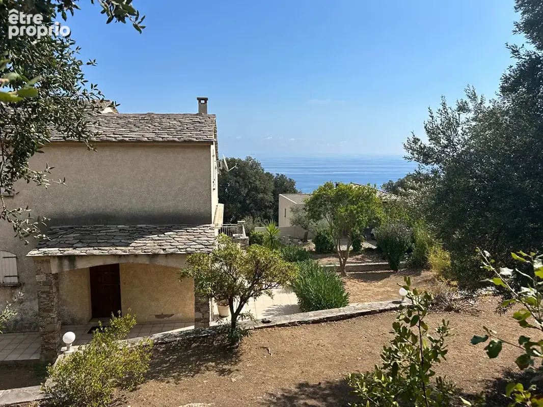 Photo Maison à Brando au prix de 460 000€