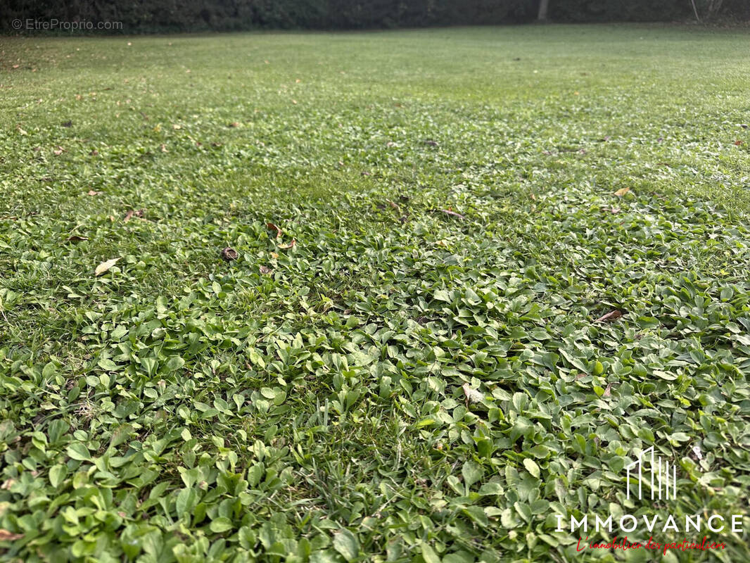 Terrain à BAILLARGUES