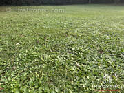 Terrain à BAILLARGUES