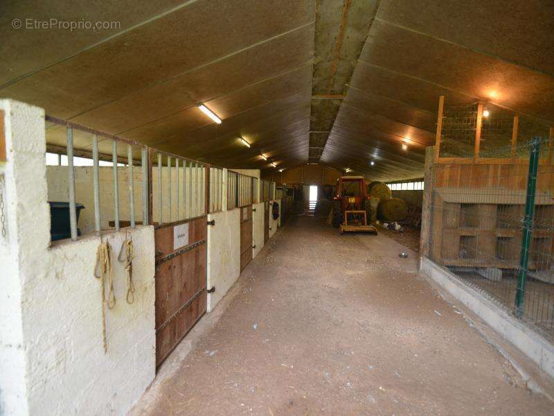 Maison à SAINT-GERMAIN-DU-SALEMBRE