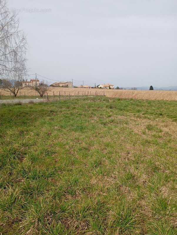 Terrain 884 m² à Annonay  - photo 2