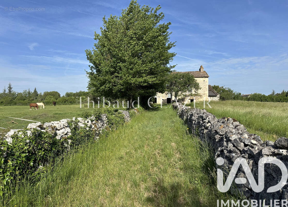 Maison 170 m² à Laburgade  - photo 4