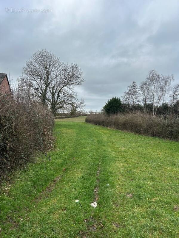 Terrain à MONTIGNY-EN-OSTREVENT