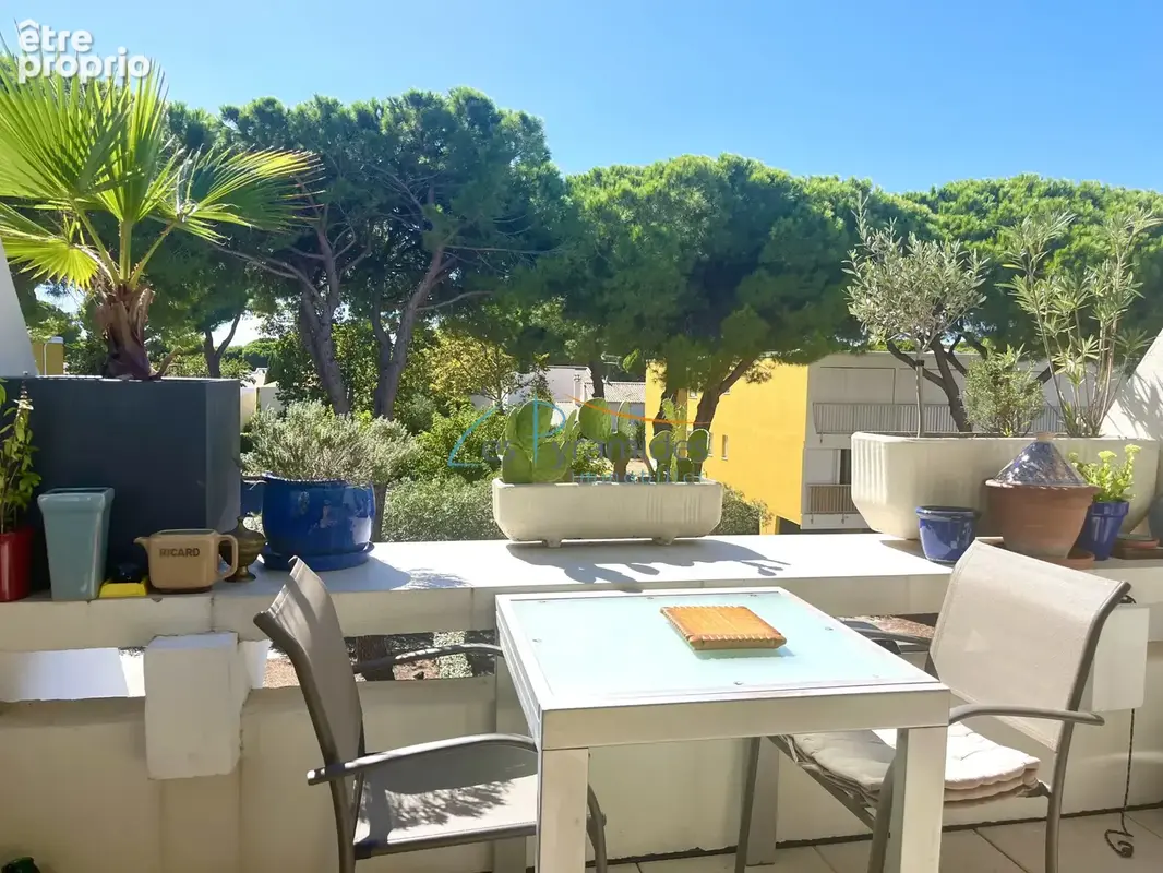 Photo Appartement à La Grande-Motte au prix de 139 000€