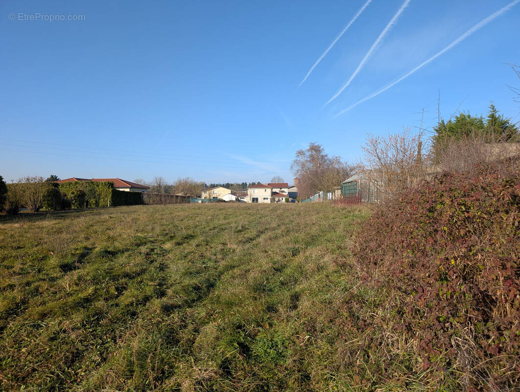 Terrain à CHAZEY-SUR-AIN
