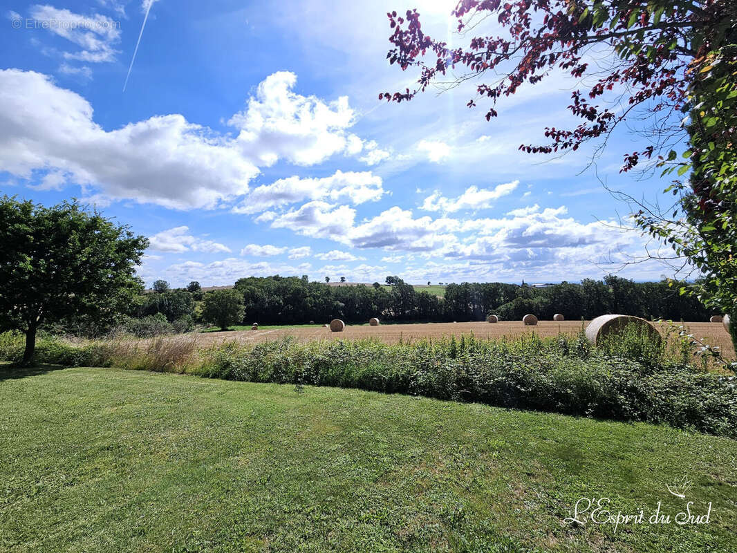 Maison à CORDES-SUR-CIEL