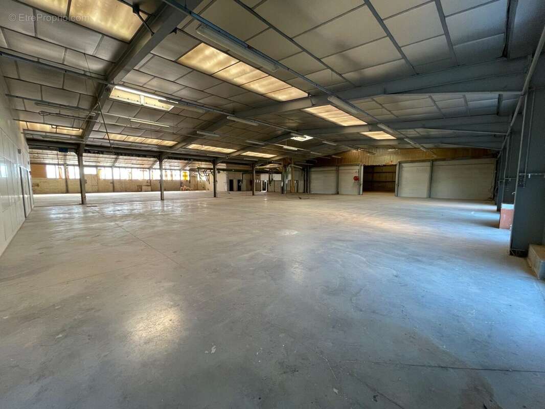 Commerce 3000 m² à Hauterives  - photo 7