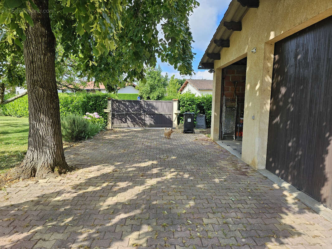 Maison de 8 pièces castelsarrasin - photo 6