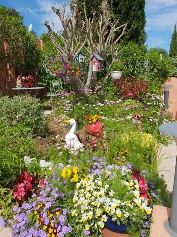 Maison à SANARY-SUR-MER