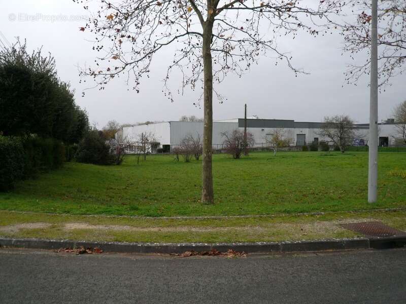 Terrain à CHATEAUBERNARD