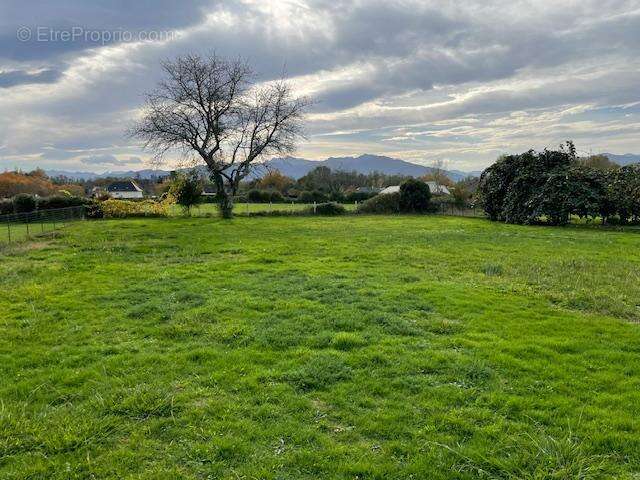 IMG_5879 - Maison à OLORON-SAINTE-MARIE