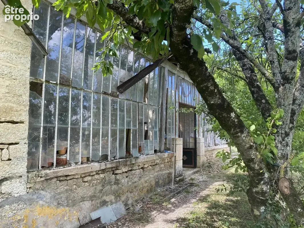 Château avec piscine chauffée,  vastes dépendances, possibilité chambres d'hôtes - photo 10