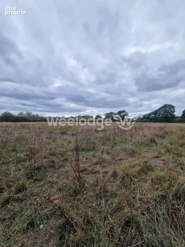 Terrain 81 000 m² à vendre à Velles (36330) - photo 6