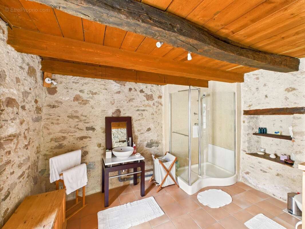 Grande maison de caractère à Monestiés – 270 m², piscine, jardin et potentiel gîte/location entre Cordes et Albi - photo 8