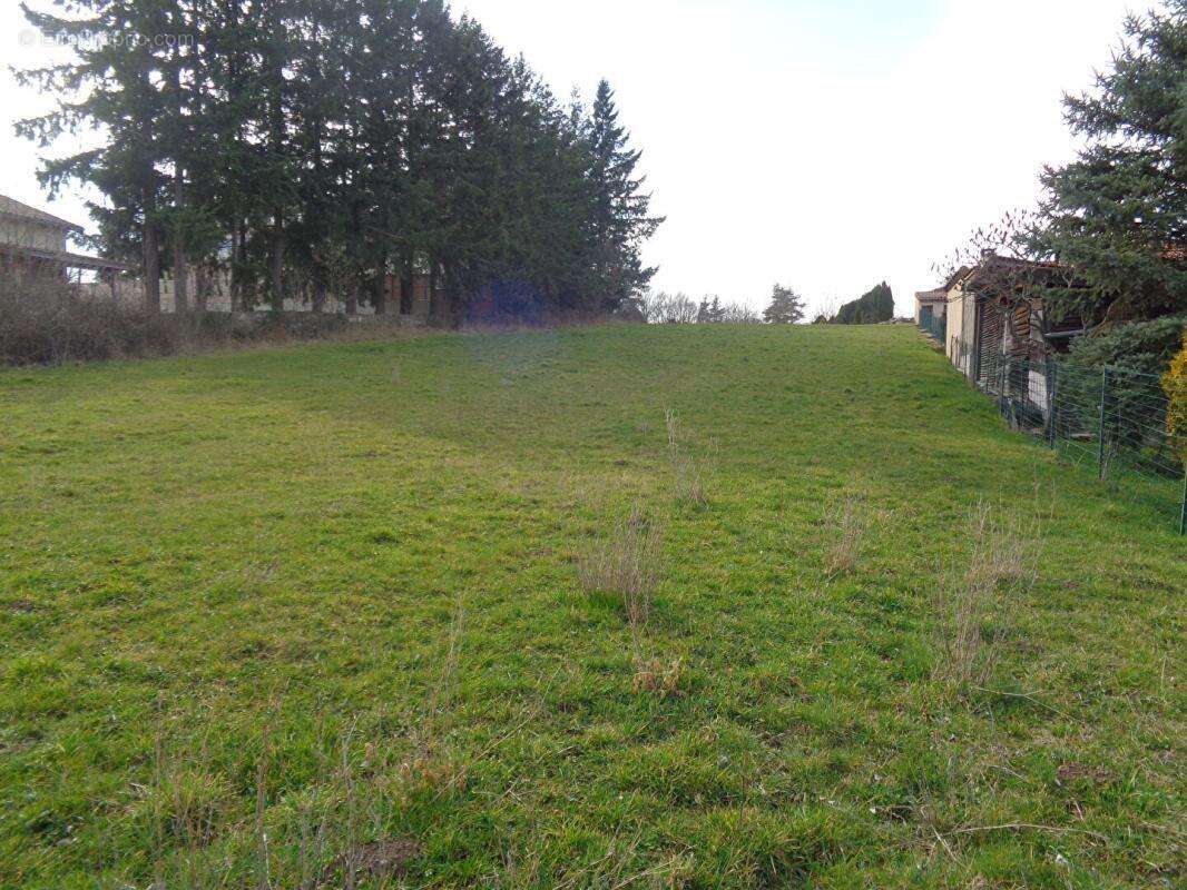 Terrain à SANSSAC-L'EGLISE