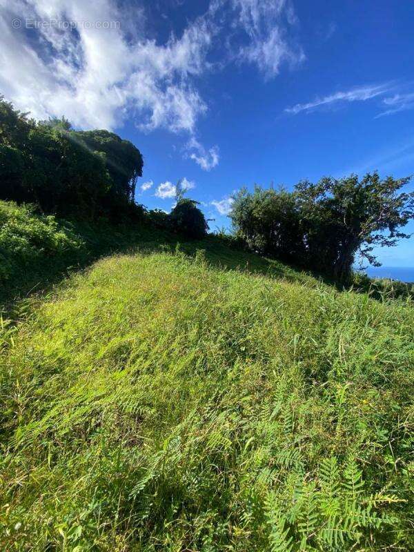 Terrain à LE MORNE-VERT