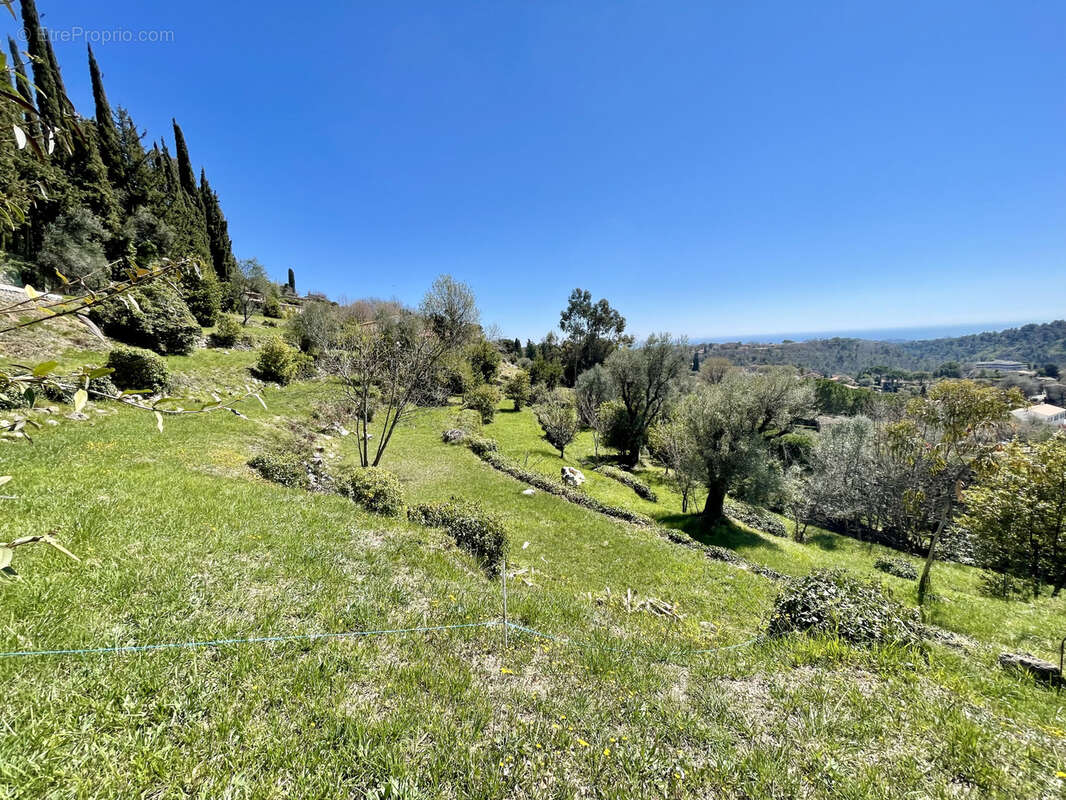 Terrain à VENCE