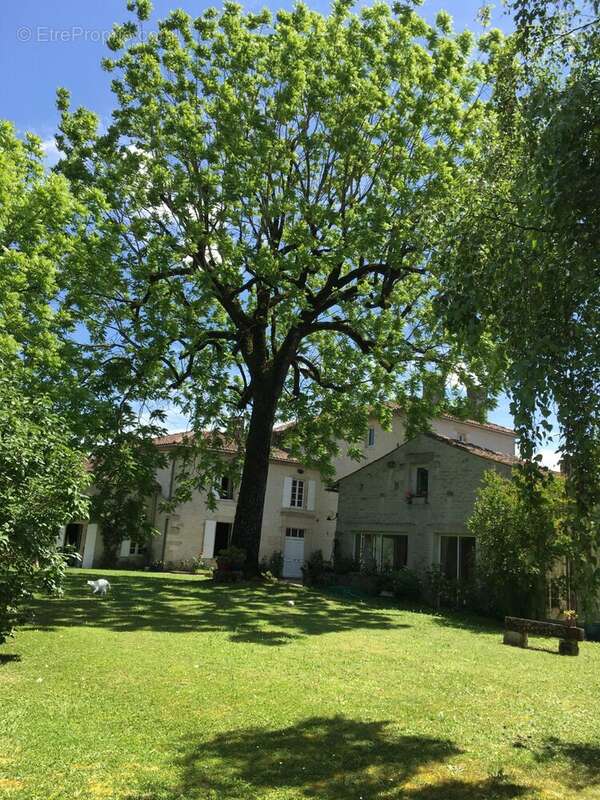 Maison 725 m² à Saintes  - photo 9