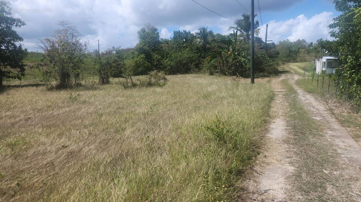 Terrain à SAINTE-ANNE