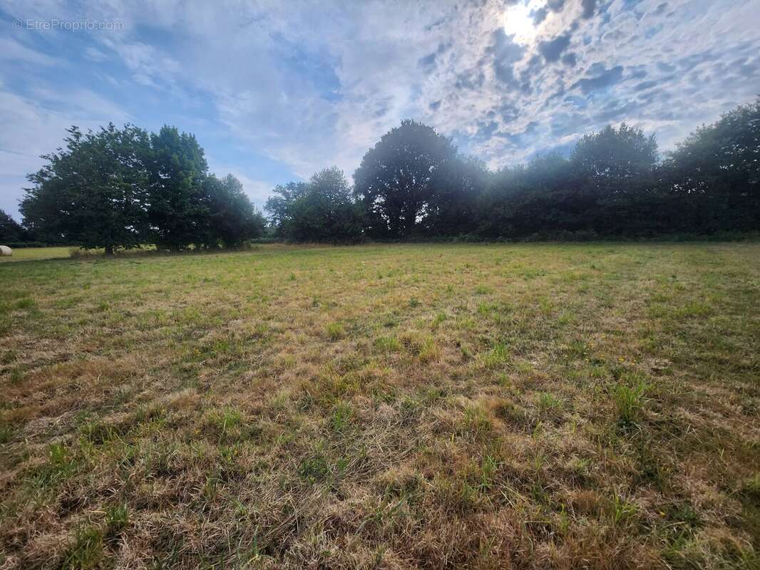 Magnifique terrain constructible - photo 4