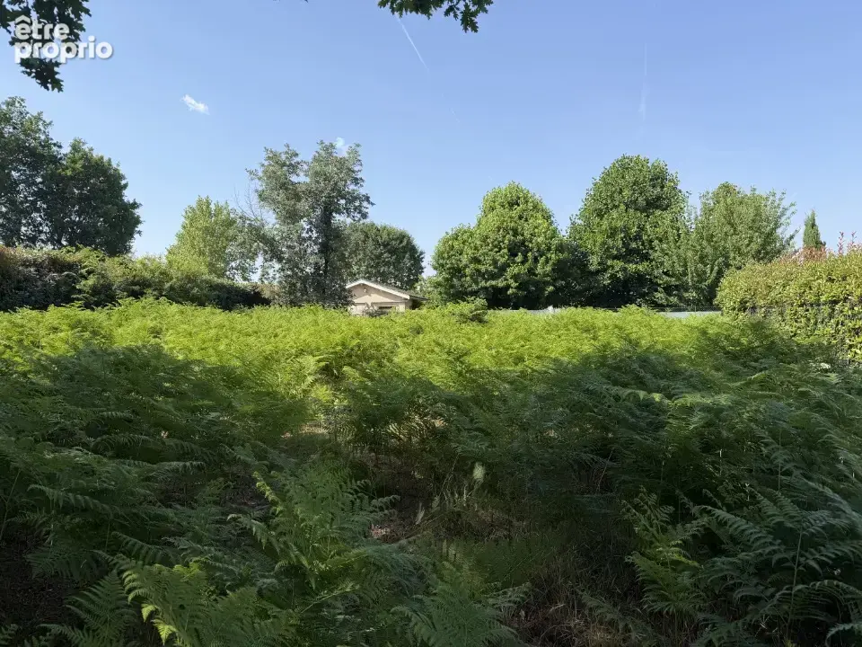 Terrain à SAINT-AUBIN-DE-MEDOC