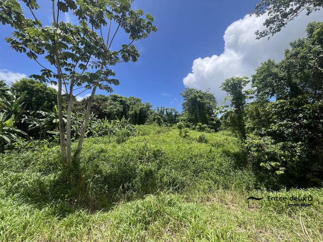 Terrain à LE LAMENTIN