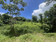 Terrain à LE LAMENTIN