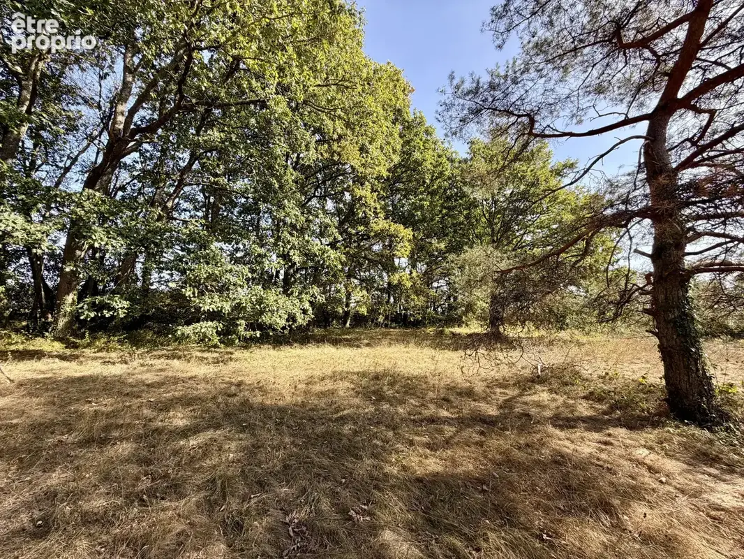 EXCLUSIVITÉ - Maison au calme, au coeur du Perche - photo 6