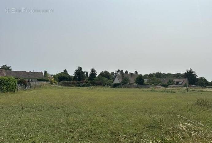 Terrain à PANILLEUSE