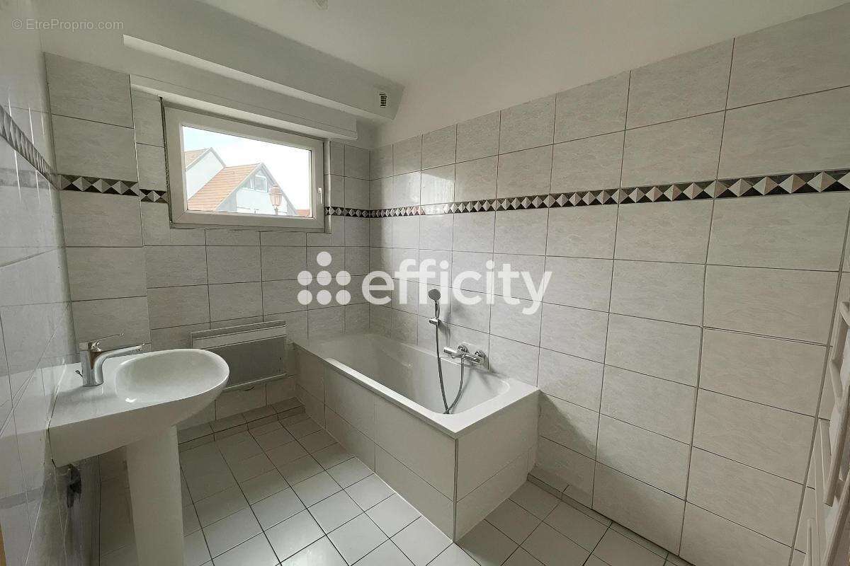 Appartement à SELTZ