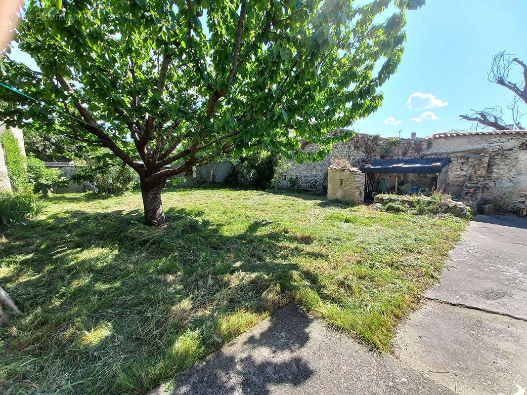 Maison 3 pièces + STUDIO Saint Georges d Oleron 144 m² hab. - photo 2