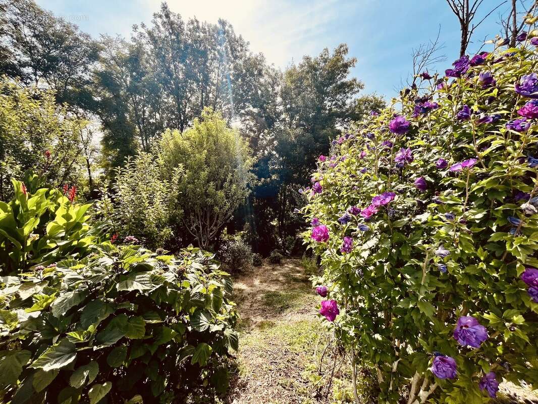 Maison de plain-pied avec quatre chambres, beau jardin et terrasse couverte - photo 10