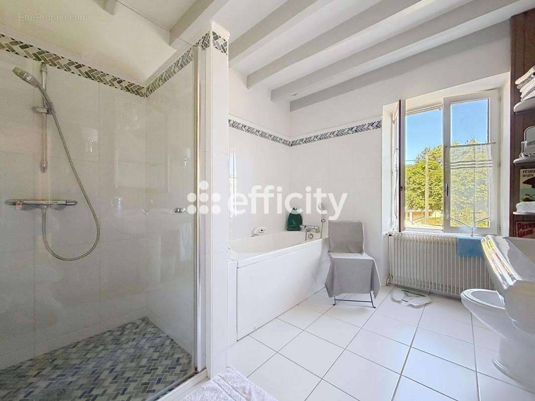 Maison 380 m² à Courpiere  - photo 13