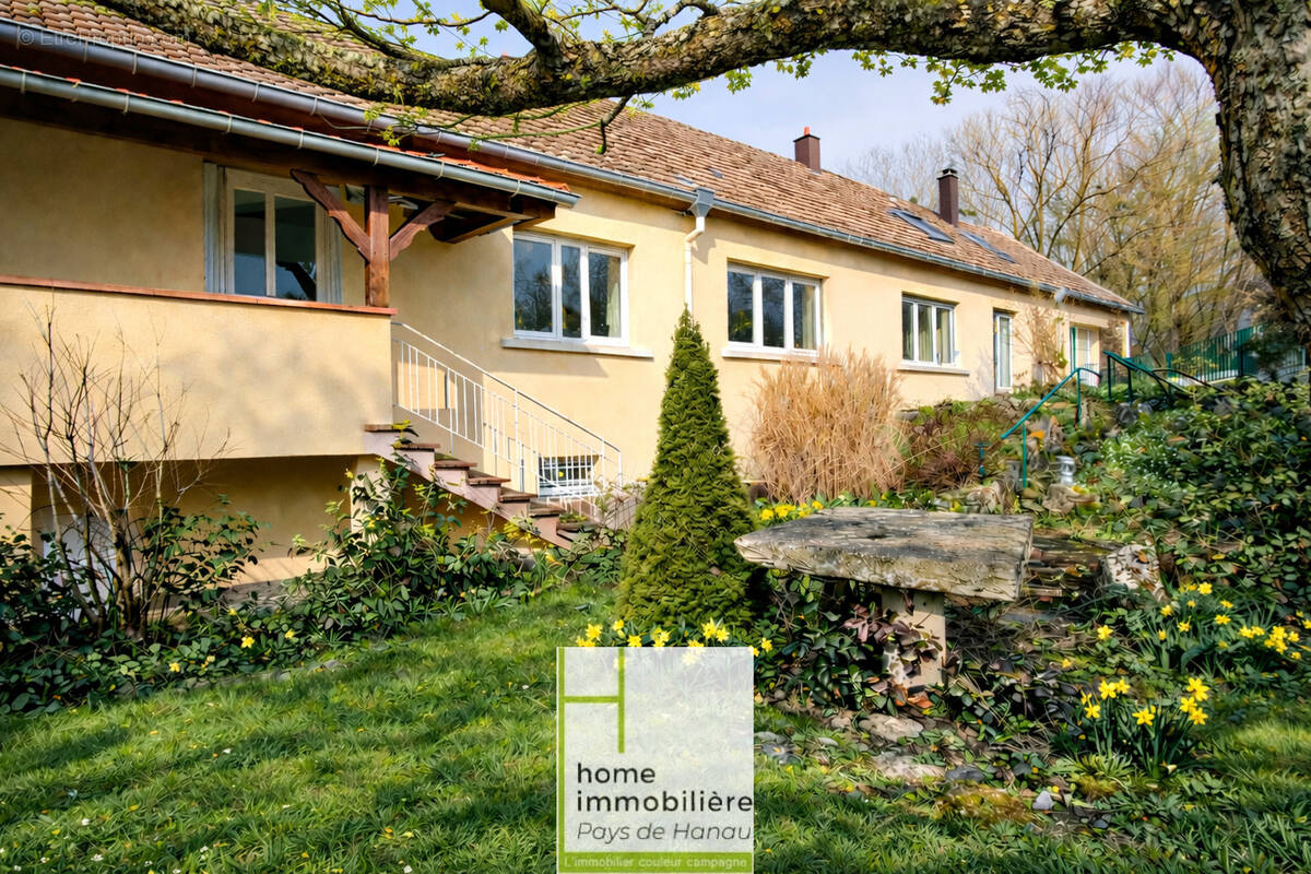 Maison à SAVERNE