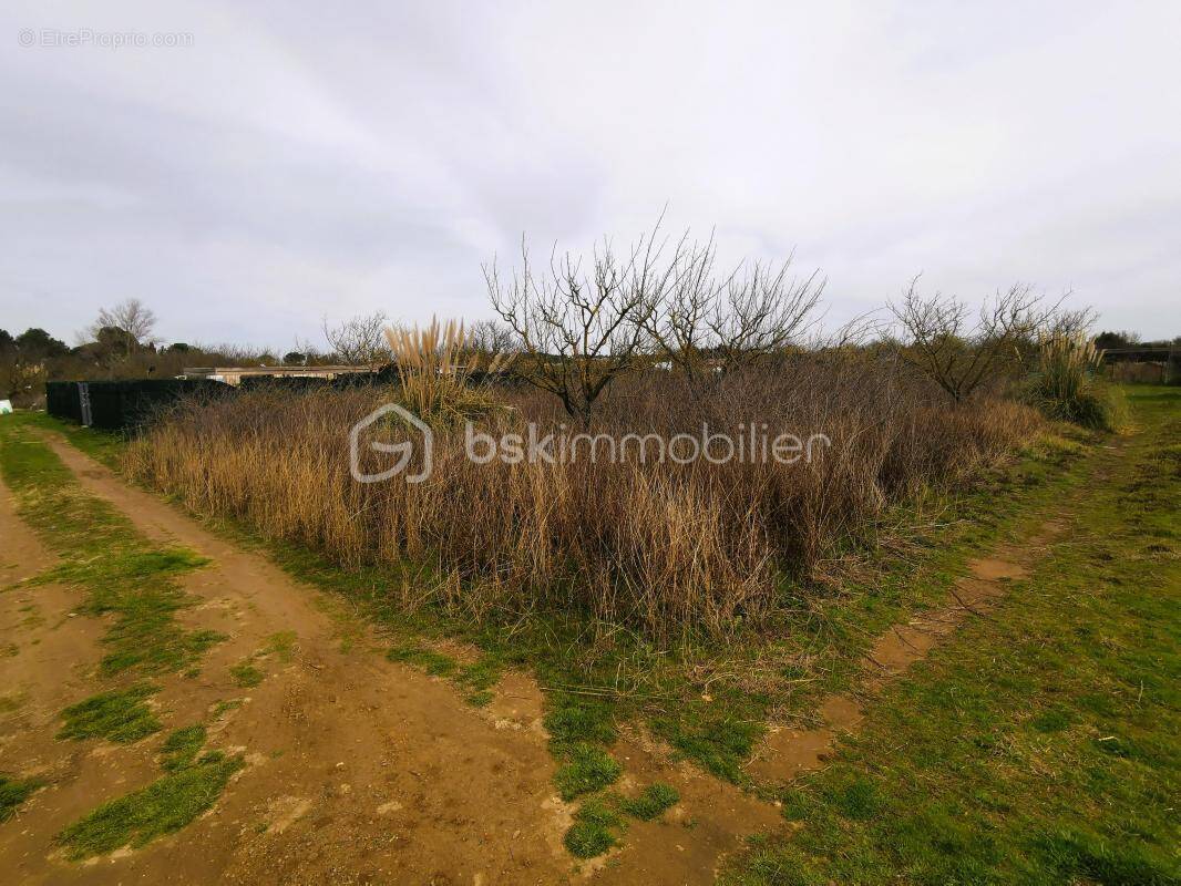 Terrain à VILLENEUVE-LES-BEZIERS