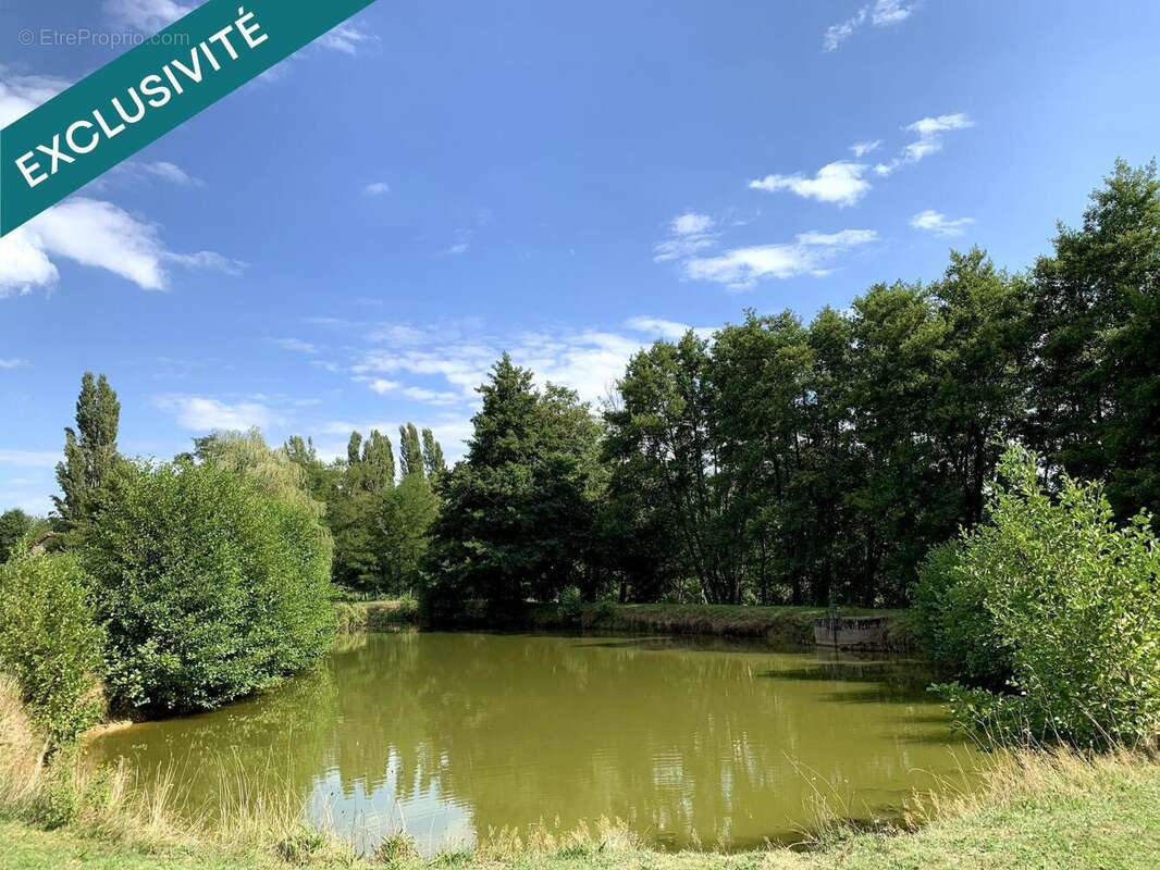 Photo 3 - Maison à LOUHANS