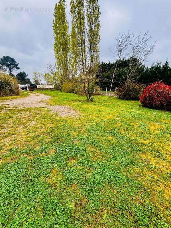 Maison à SELLES-SUR-CHER